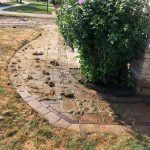 Power-Washed and Re-sealed Sidewalk in Toronto